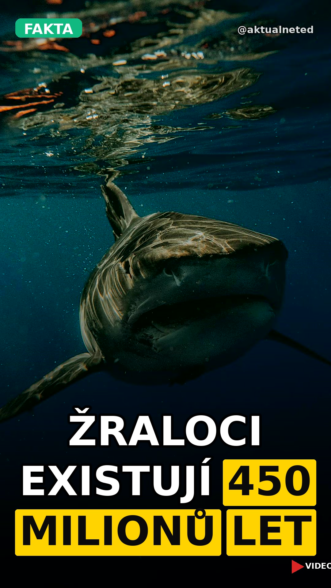 ŽRALOCI EXISTUJÍ 450 MILIONŮ LET