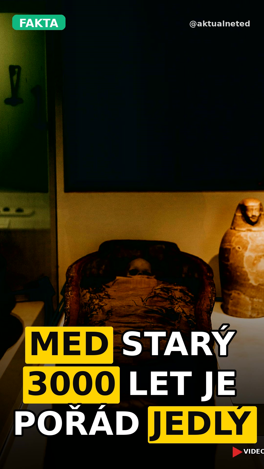 MED STARÝ 3000 LET JE POŘÁD JEDLÝ