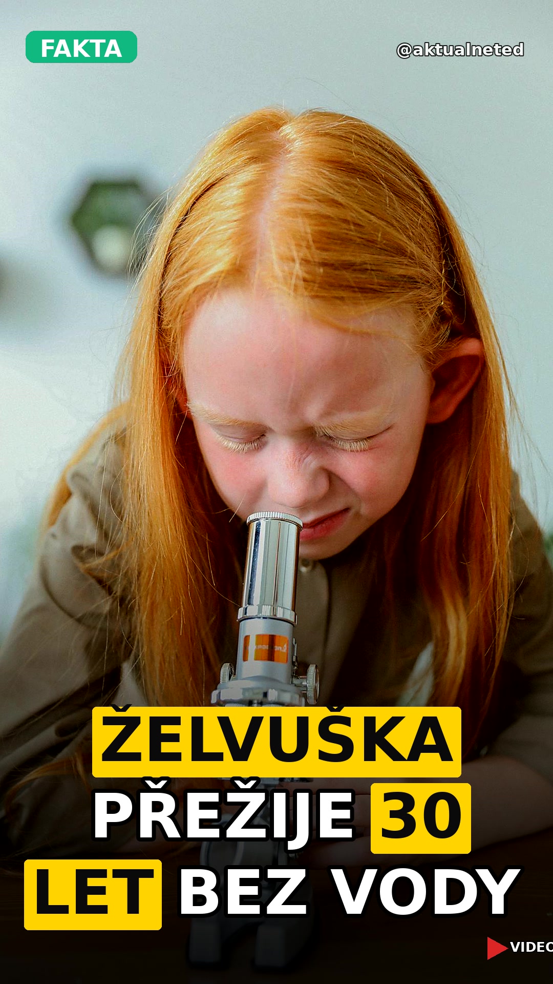 ŽELVUŠKA PŘEŽIJE 30 LET BEZ VODY