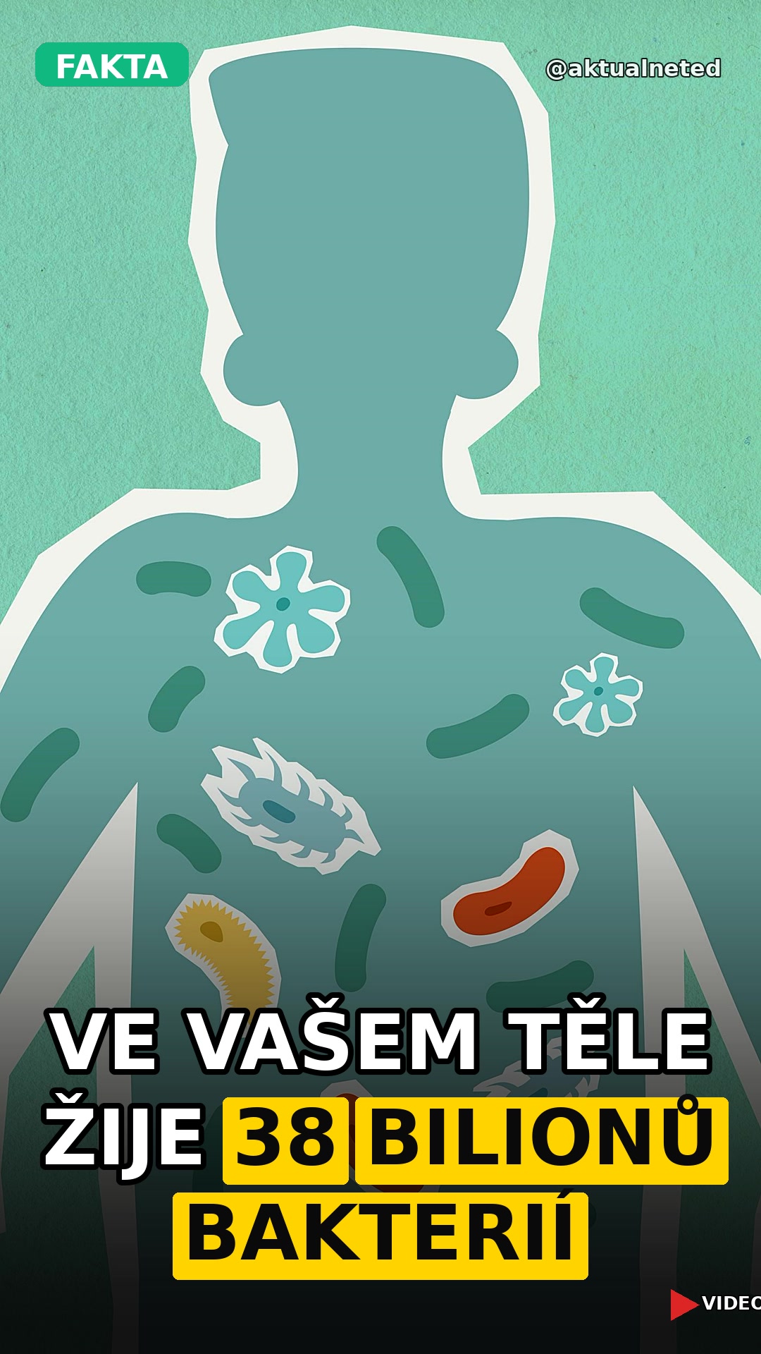 VE VAŠEM TĚLE ŽIJE 38 BILIONŮ BAKTERIÍ